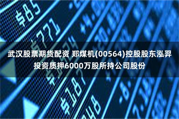 武汉股票期货配资 郑煤机(00564)控股股东泓羿投资质押6000万股所持公司股份