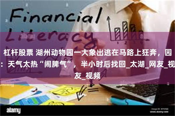 杠杆股票 湖州动物园一大象出逃在马路上狂奔，园方：天气太热“闹脾气”，半小时后找回_太湖_网友_视频