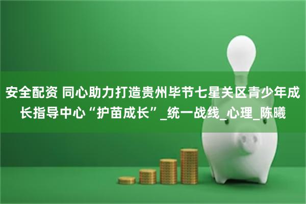 安全配资 同心助力打造贵州毕节七星关区青少年成长指导中心“护苗成长”_统一战线_心理_陈曦