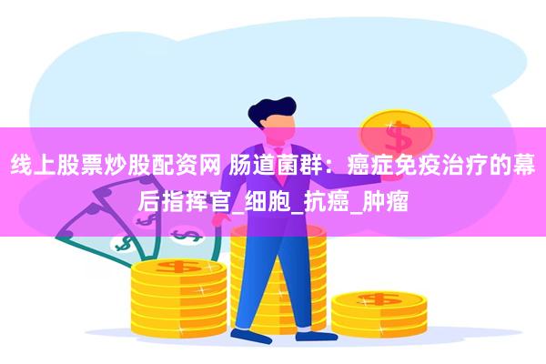 线上股票炒股配资网 肠道菌群：癌症免疫治疗的幕后指挥官_细胞_抗癌_肿瘤