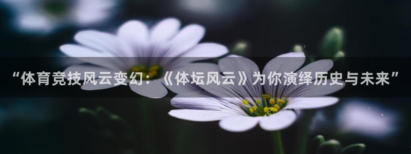 直播吧体育直播吧篮球：“体育竞技风云变幻：《体坛风云》为你演绎历史与未来”