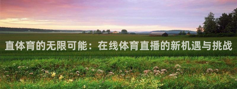 nba直播吧在线直播观看jrs：直体育的无限可能：在线体育直播的新机遇与挑战