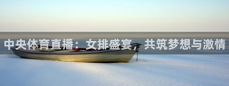 nba直播在线jrs直播吧：中央体育直播：女排盛宴，共筑梦想与激情