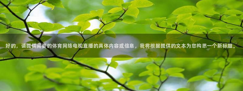 极速nba直播吧在线直播观看：好的，请提供需要的体育网络电视直播的具体内容或信息，我将根据提供的文本为您构思一个新标题。