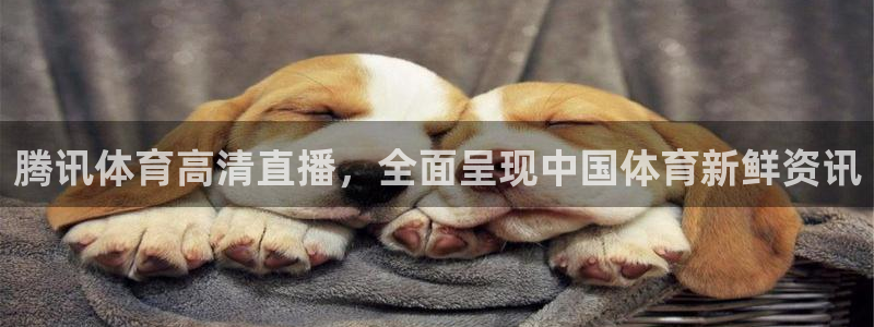 【jrs直播吧】：腾讯体育高清直播，全面呈现中国体育新鲜资讯