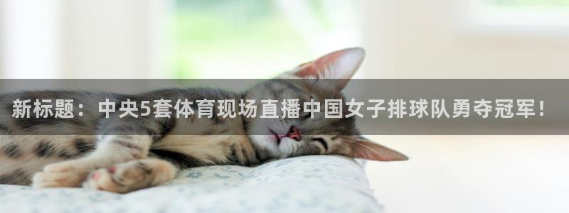 高速体育直播吧nba：新标题：中央5套体育现场直播中国女子排球队勇夺冠军！