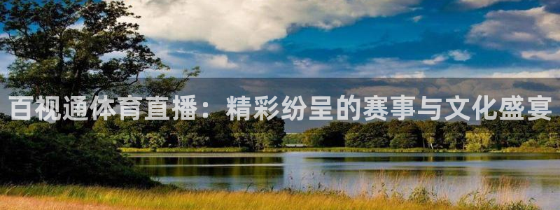 直播吧篮球直播在线观看：百视通体育直播：精彩纷呈的赛事与文化盛宴