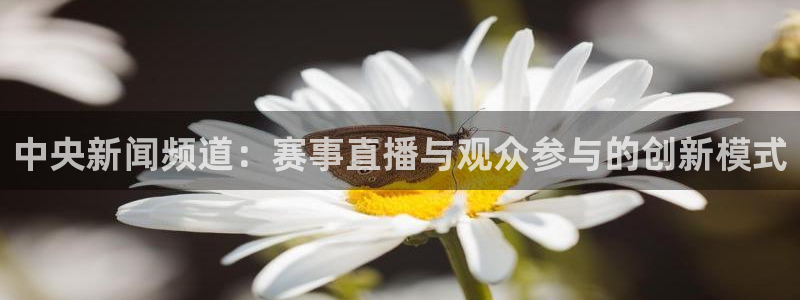 网络体育直播吧：中央新闻频道：赛事直播与观众参与的创新模式