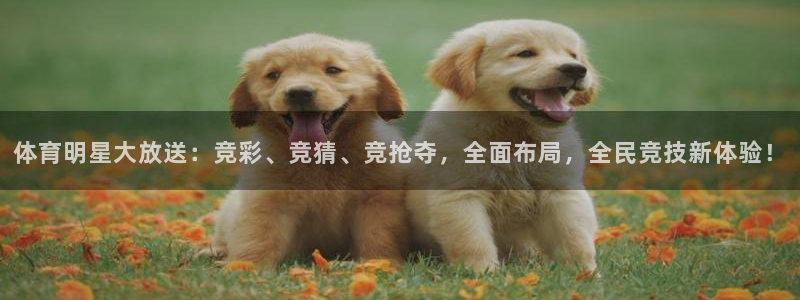 jrs直播吧jrs低调看直播九球：体育明星大放送：竞彩、竞猜、竞抢夺，全面布局，全民竞技新体验！